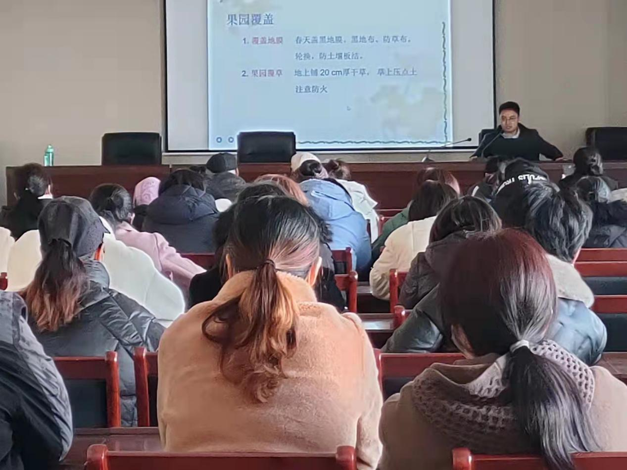 图片18.png