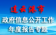 连云港市传奇娱乐手机版
工作年度报告专题